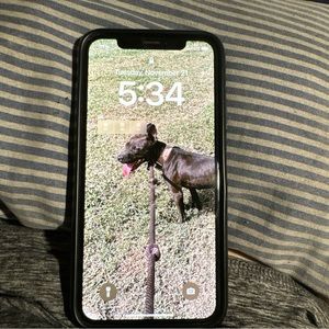 iPhone 12 xs 64g with case